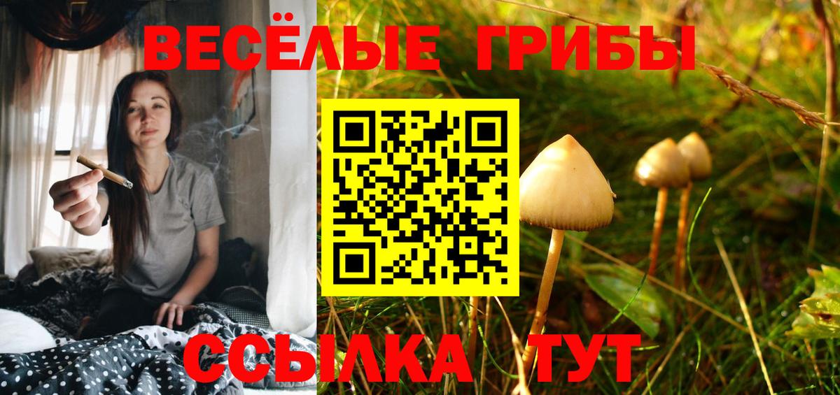 Галлюциногенные грибы Psilocybine cubensis  Вход с VPN  Новосибирск 
