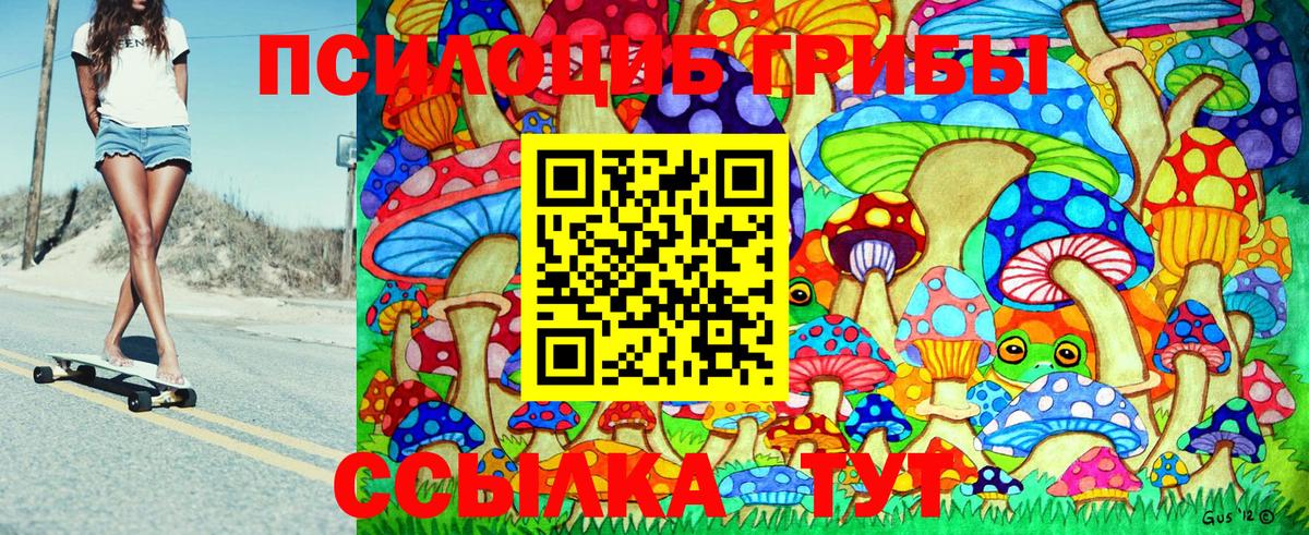Псилоцибиновые грибы Psilocybine cubensis Новосибирск
